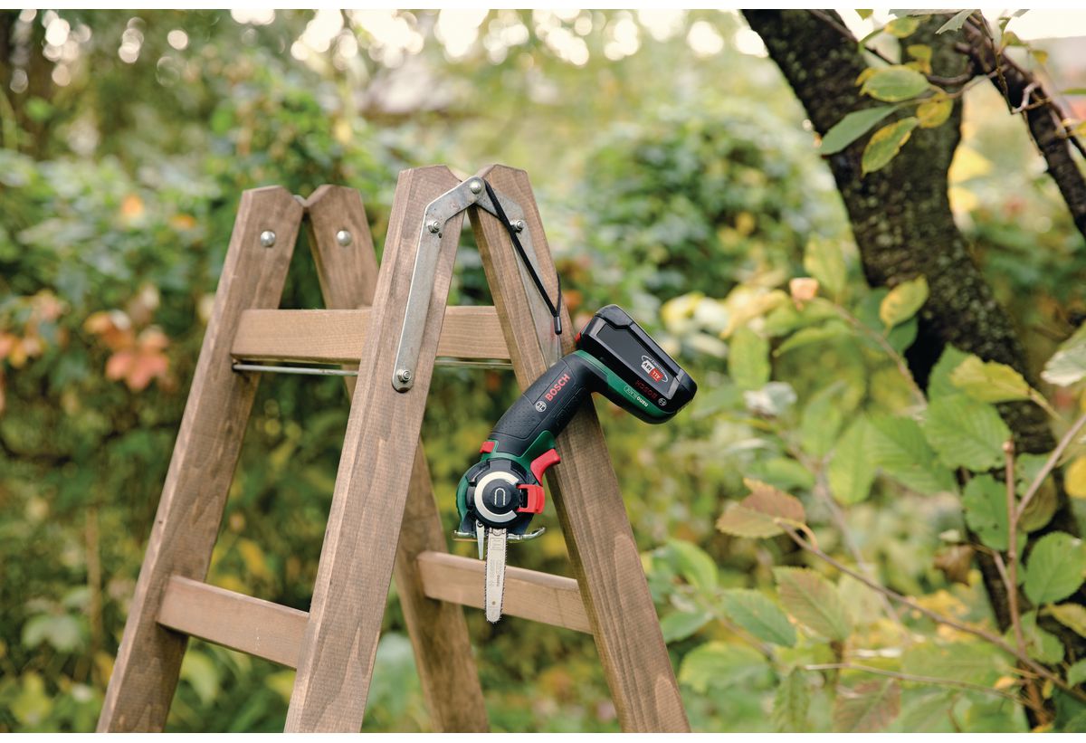 Απεικονίζεται η σέγα 